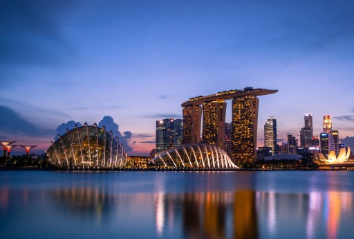 新加坡私人有限公司